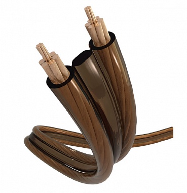 Real Cable TDC 200F, 2*2 мм